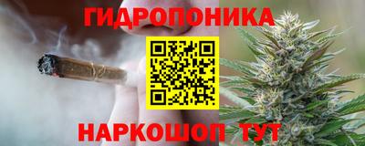 каннабис Кингисепп