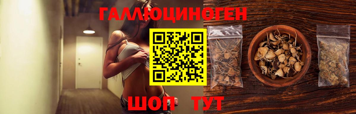 Псилоцибиновые грибы MAGIC MUSHROOMS Сосновый Бор